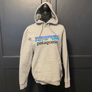 PATAGONIA MEN’S Hoodie...Gray..Sz M (unisex)